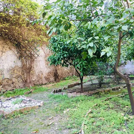 Black And White Garden Appartement
